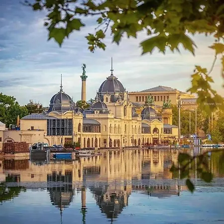 Dn Blue * 부다페스트